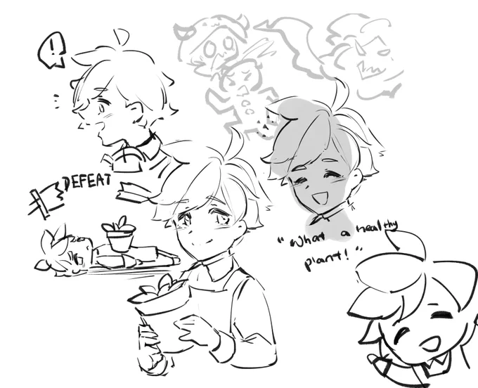 so
herb cookie 