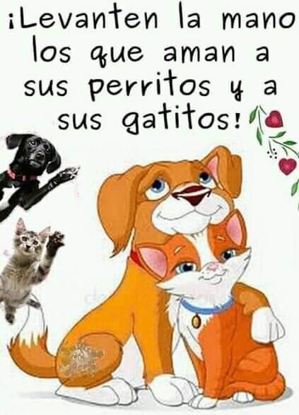 arnovis_vega's tweet photo. Porque ellos también merecen lo mejor #poderanimal.
#SueñaEnGrande #LoMejorEstaPorVenir #SiguemeYTeSigo #ExitosYBendiciones @arnovis_vega https://t.co/ACQ8ABGFVE