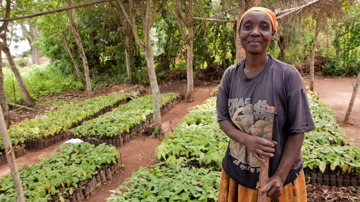 Investing in rural people is more critical than ever for fostering resilience to global challenges.

Directly supporting small-scale producers – the cornerstone of our global #FoodSystem – can set the stage for lasting positive changes worldwide.