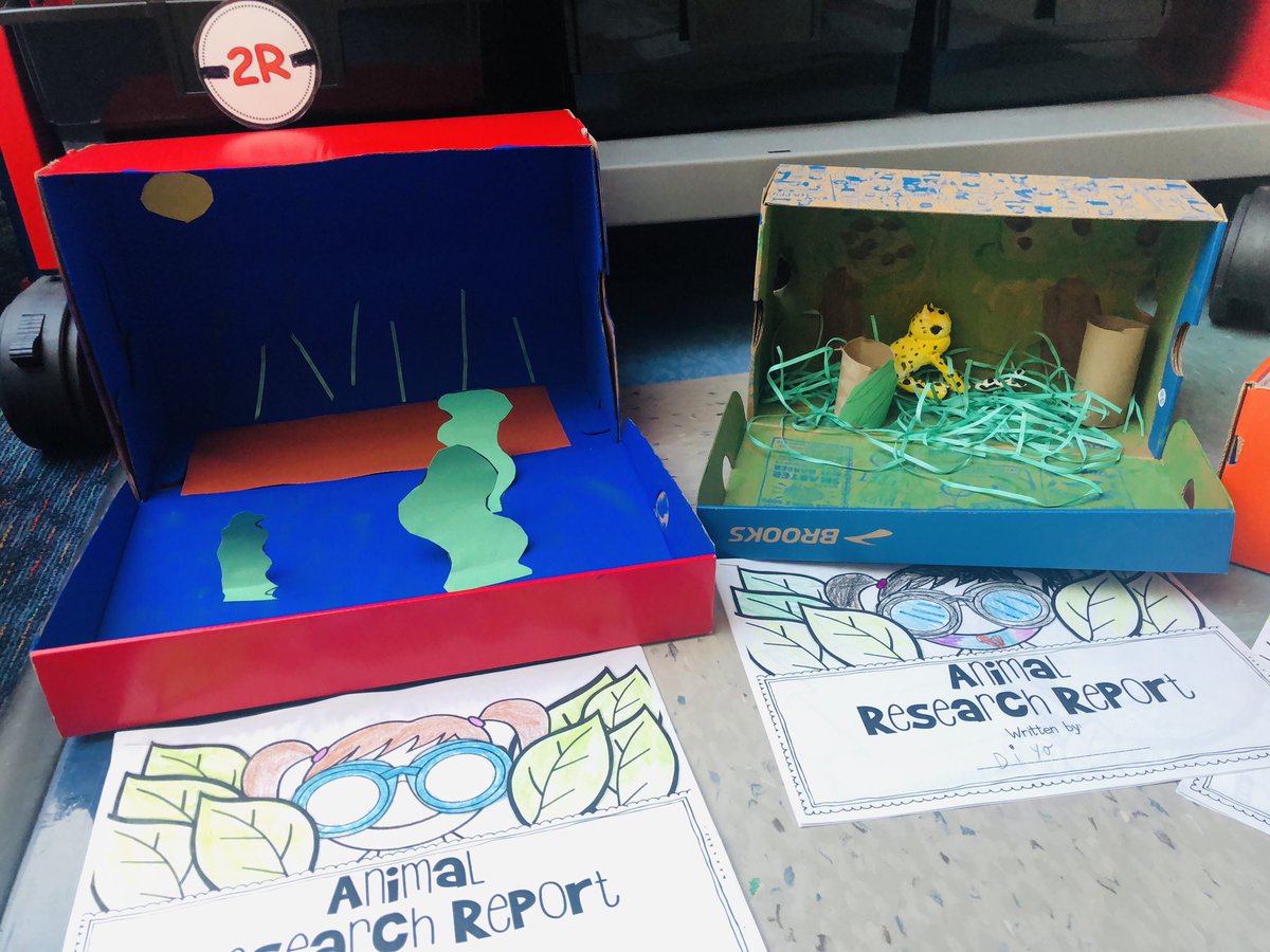 Barb_Whit3's tweet photo. Students did an amazing job on their Animal Habitat Projects! We are ready for our museum walk! #animalneeds #welovetolearn #kstrong @SandersSMES https://t.co/KDZmZUqp29