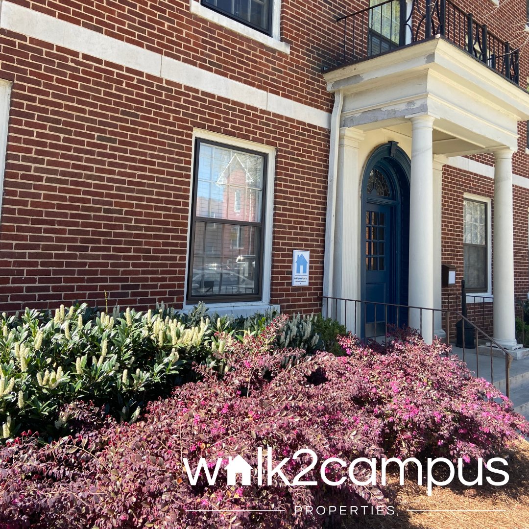Walk2Campus_UTC's tweet photo. It's time to watch the flowers bloom! 💐#Closelife https://t.co/gAoSODrgbk