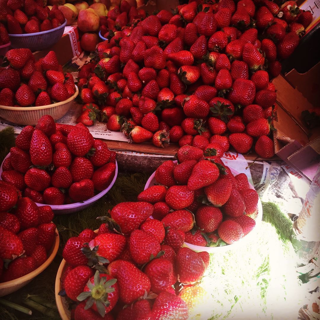 IsMickymonky's tweet photo. ES LA MEJOR FRUTA DE TODAS, TENGO PRUEBAS Y CERO DUDAS https://t.co/hTzQIRFSL8