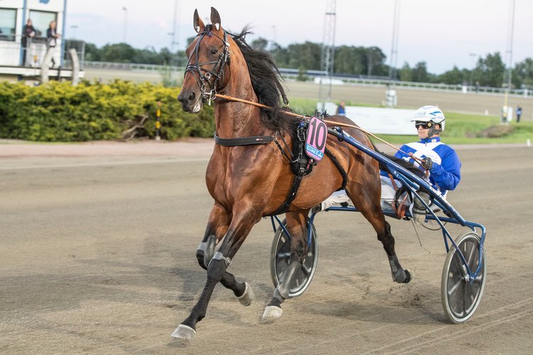 𝐀̊𝐑𝐒𝐃𝐄𝐁𝐔𝐓 𝐎𝐆 𝟐𝟕 𝐓𝐈𝐋 𝐒𝐓𝐀𝐑𝐓💡
Ecurie i årsdebut, Europadebutanter, fasiten etter 3 måneder, og hele 27 hester til start den neste uken. ⬇️

facebook.com/10994005742853…
📸: Hesteguiden.com