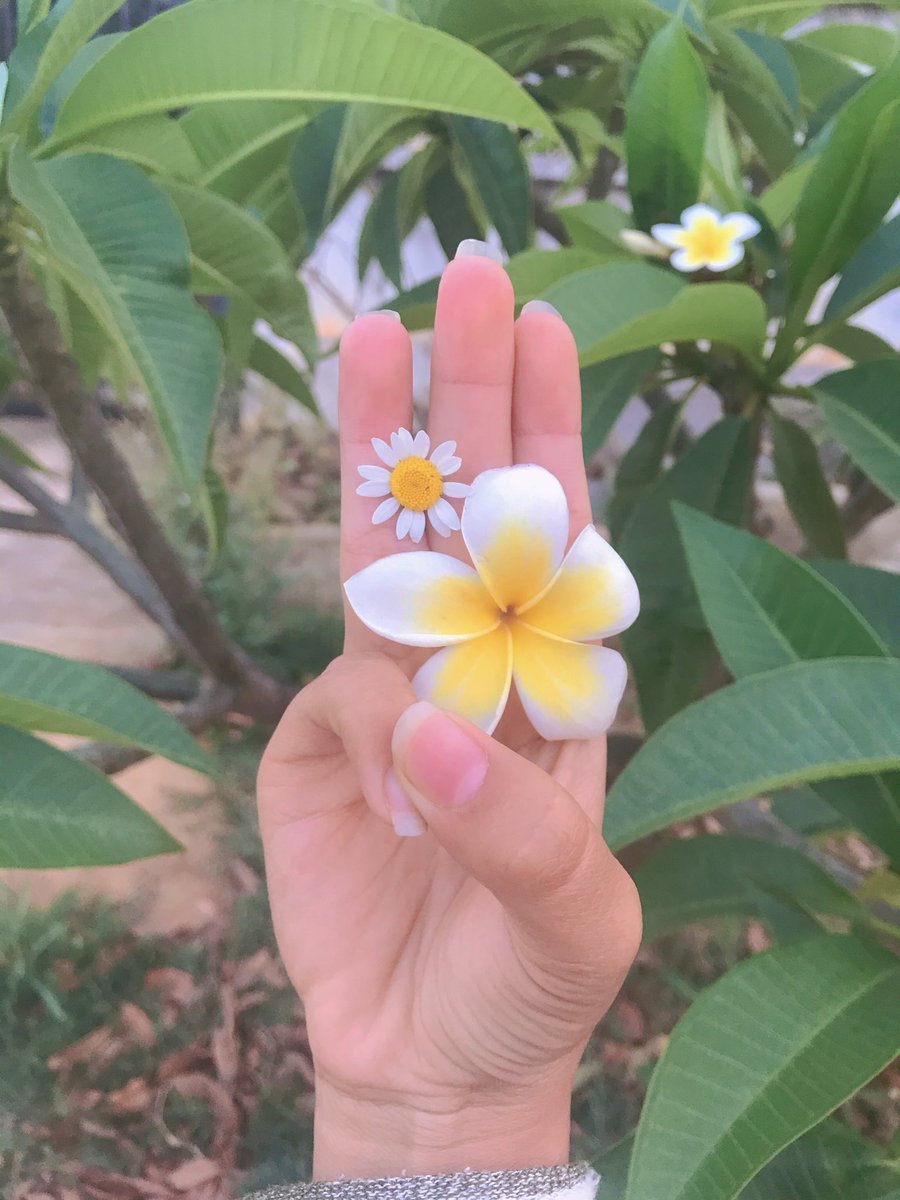 For all the fallen heroes that can never come back!!! #FlowerStrike #Apr2Coup #WhatsHappeninglnMyanmar