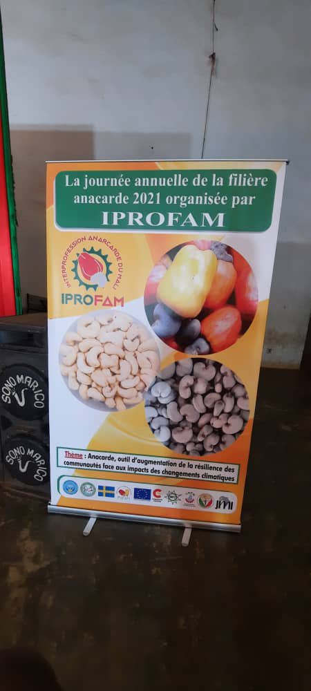 Mfolkecenter's tweet photo. C'est parti pour la journée annuelle de la filière #anacarde à Sikasso. Elle continue jusqu'à demain samedi, 3 avril 2021. A cause de la situation Covid 19, l'accès à la salle a été limitée.
#iprofam @itogolanyetaa https://t.co/4ZIk9I8Xr9
