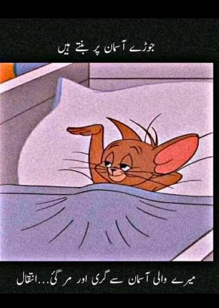 Real_Haroon_lhr's tweet photo. https://t.co/fOxZVyhn7Z