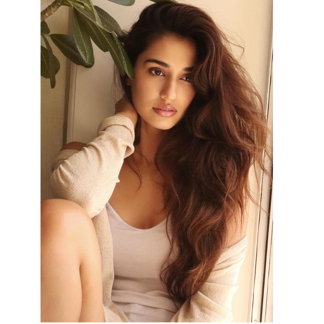 Disha Patani tweet media