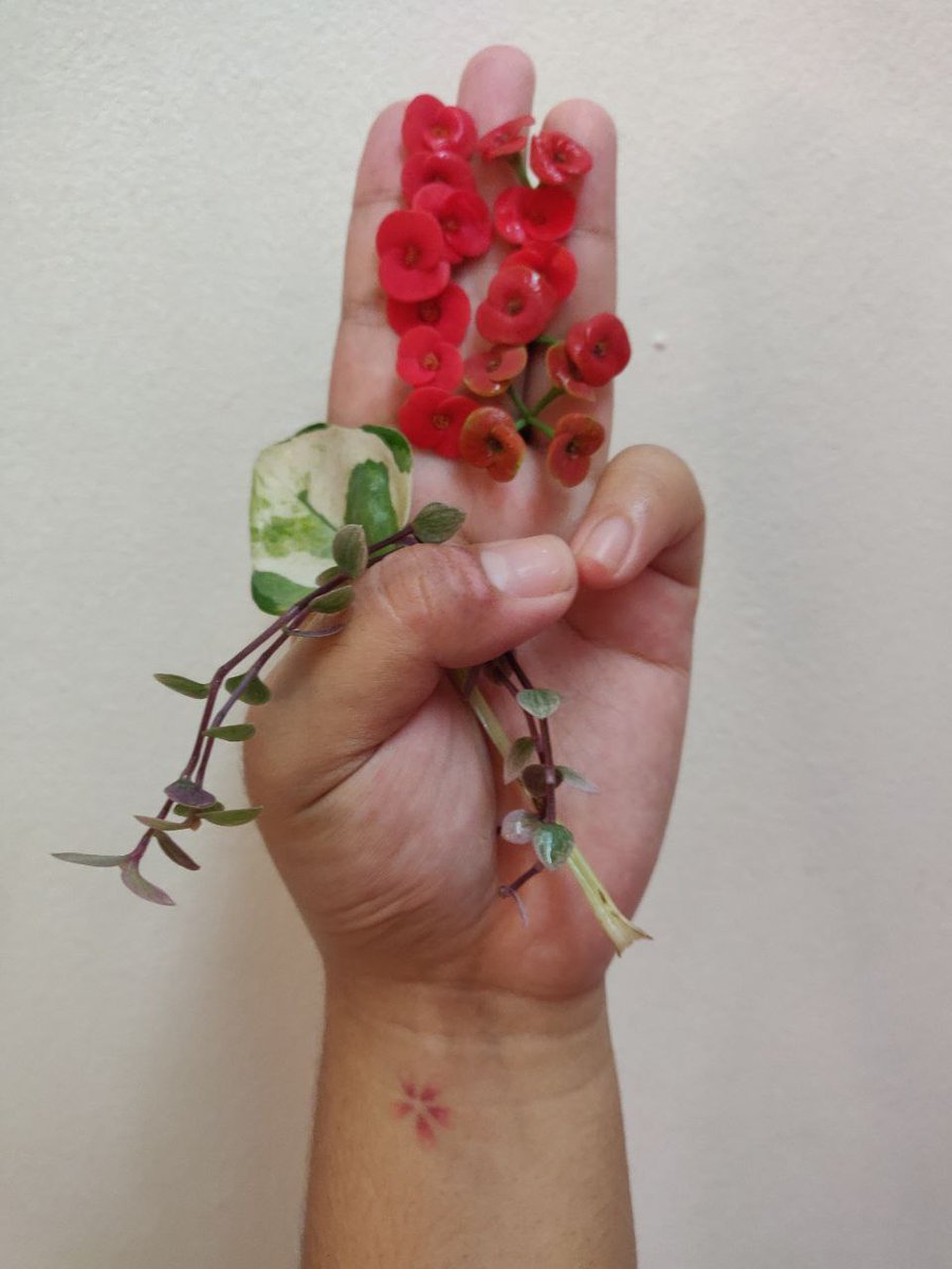 ckn31's tweet photo. Today, on 2nd April 2021, we are honouring the fallen heros in Myanmar with the flowers strike.
In my country, many people are leaving flowers at the bus-stops.
#flowersStrikeMyanmar
#flowersStrike
#WhatsHappeningInMyanmar https://t.co/MJ1hjq2Sts