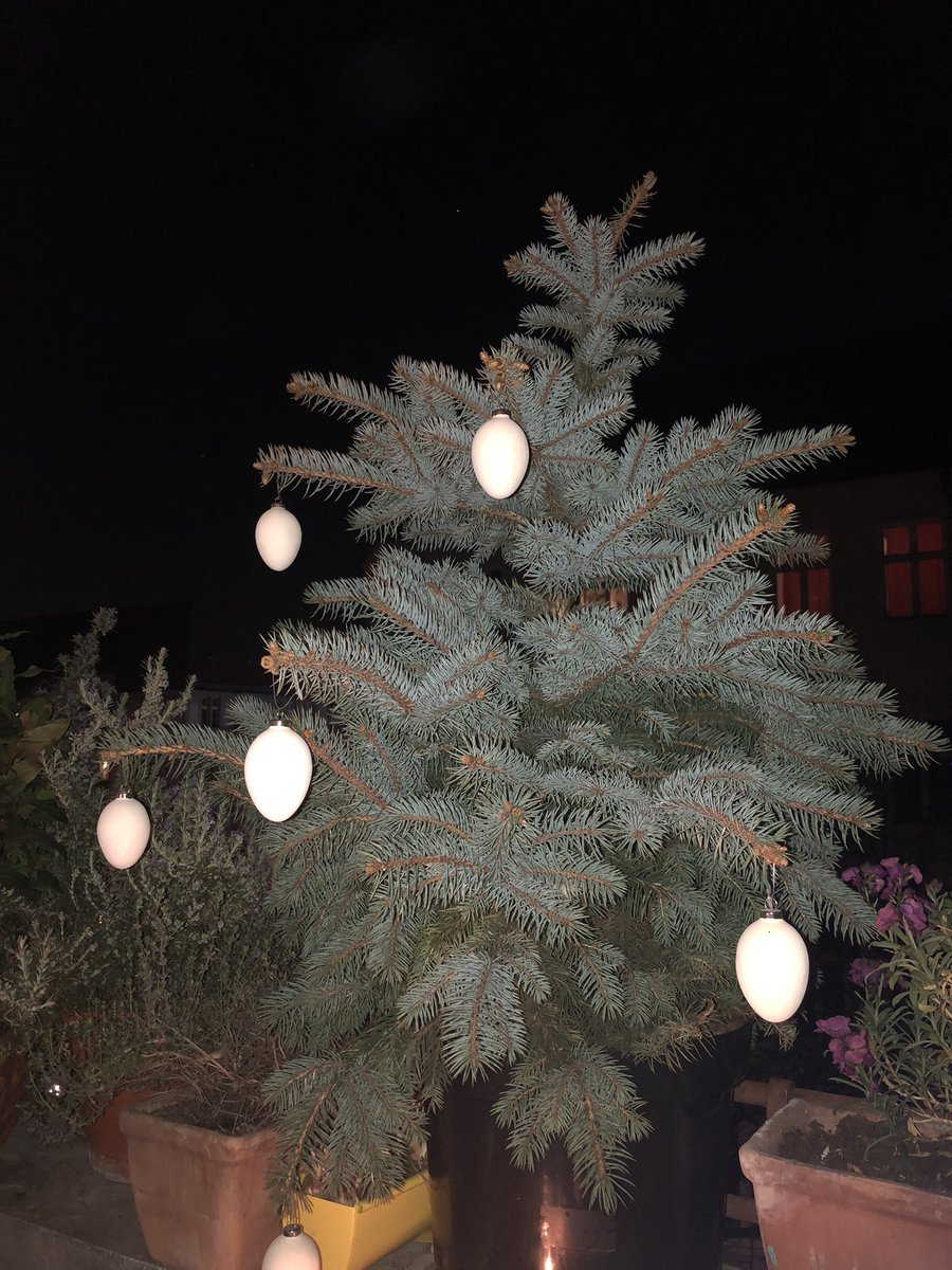 verbrecherei's tweet photo. Mit diesem Bild vom traditionellen Osterbaum wünschen wir allen schöne Feiertage!
#verbrecherverlag #verbrecherei #osterbaum https://t.co/SHv1nRHSzy