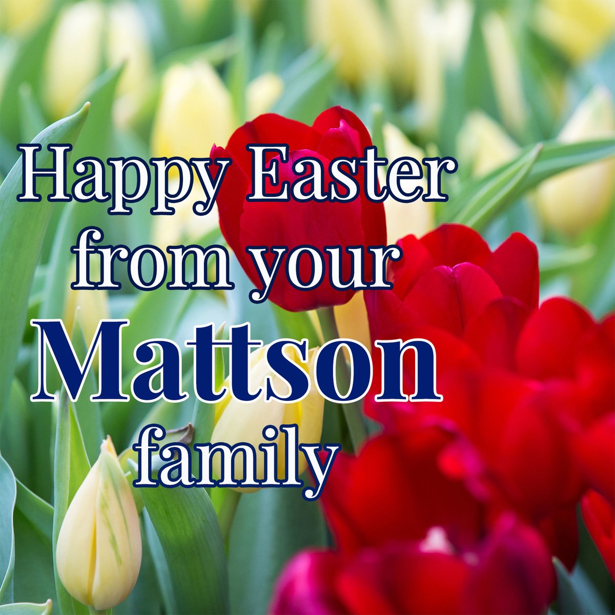 Mattson & Co. tweet media