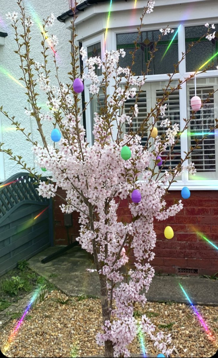 Daddy&Me:MessyStay&Play tweet media