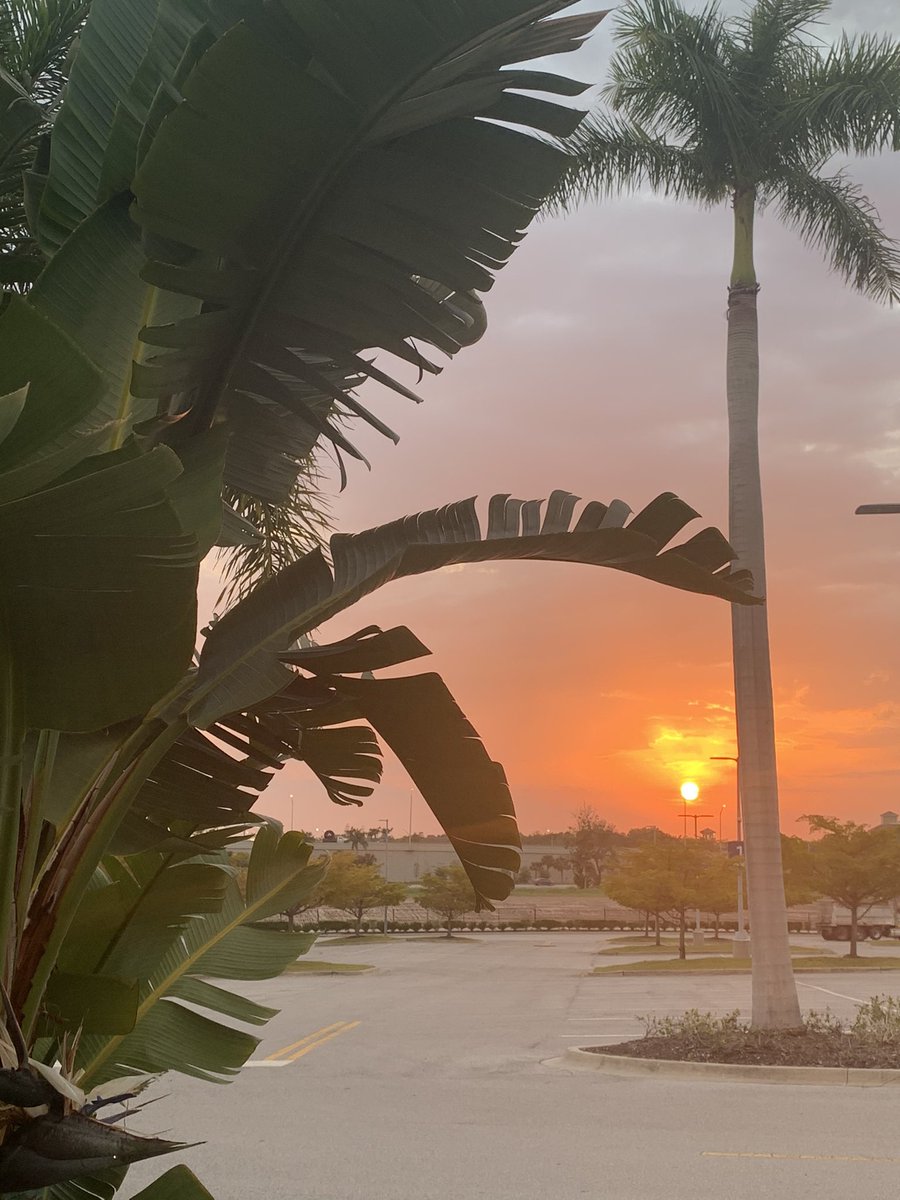 NaturingCatDad's tweet photo. Have a fiery Friday!  #sunrisers #FridayVibes #Florida https://t.co/vW9JajoJBK