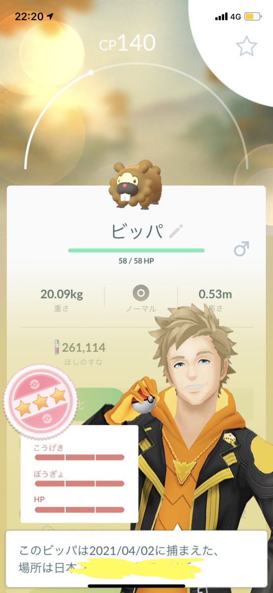キリュウ ポケモンgo على تويتر おっとー ビッパの個体値maxが野生で出てきたw どう使えば良いかなぁ ˇwˇ ポケモンgo