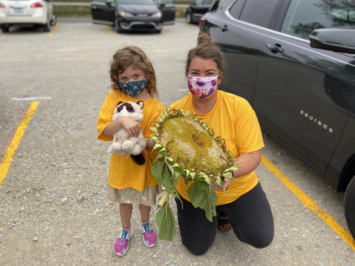 SoutheasternPTO's tweet photo. What does Kindergarten look like at @SoutheasternEl1? Sunflower 🌻 Inquiry

Visit https://t.co/TQELqWKFYh to find the district's kindergarten page! Be sure to register your incoming kindergartener soon! https://t.co/9Wc69d3Jz9