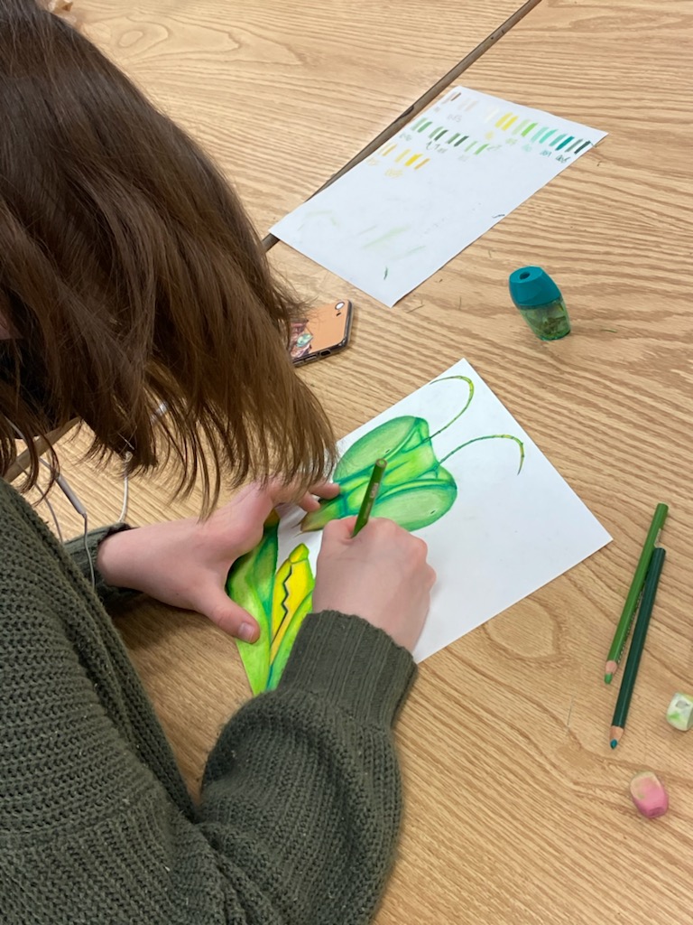 mnhs_Art's tweet photo. Drawing students working on their colored pencil project. https://t.co/Mz7mfABUpa
