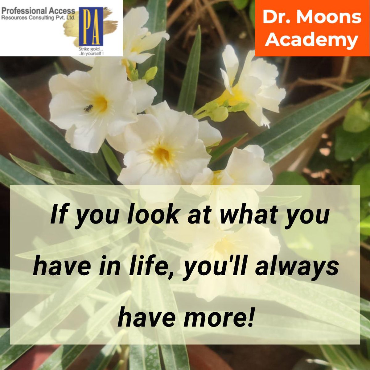 drmoonsacademy's tweet photo. drmoons from Dr. Moons Academy shares "If you look at what you have in life, you'll always have more!"

To transform your life approach Dr. Moons Academy,
Reach out to us at https://t.co/SO1eQeHHBt
To enroll visit https://t.co/rs5ea0zETh https://t.co/09aoGb1944