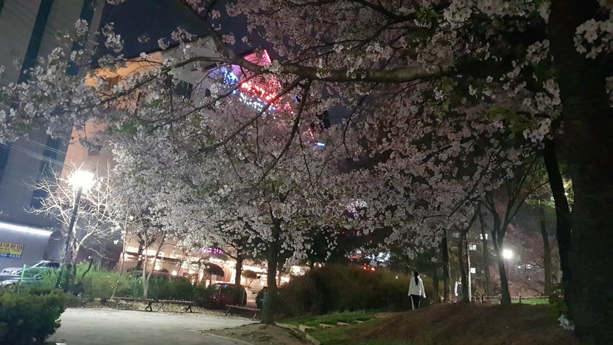hg_220's tweet photo. 공원에 멍뭉이 천국이네🤭

#천안 #일상 #공원 #산책 https://t.co/DxaljE2Asm