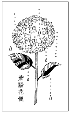 【紫陽花便のお知らせ】

極彩の家のキャラクターイラストカード+その他紙モノなどを専用箱につめた「紫陽花便」を制作予定です(BOOTHでの通販先行販売予定です)。
徐々に内容を紹介していきたいと思います^^

最初は【A5サイズイラストカード:烏羽】です。

よろしくお願いします!

#極彩の家 