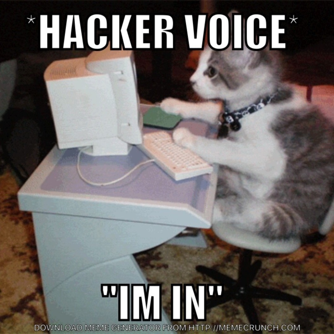 Misfigured Life tweet media