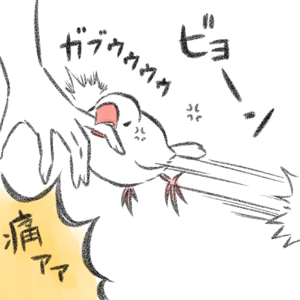怒ってる文鳥を
おちょくってはいけない 