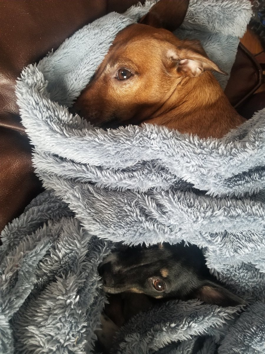 Jon Michael Frey tweet media