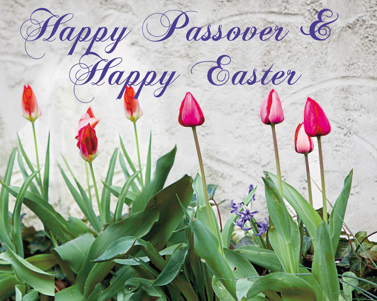 mvburlington's tweet photo. To all our residents, families and friends, we wish you a happy Easter and happy Passover! https://t.co/8xO2Snflfe