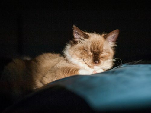 MagdeleinePhoto's tweet photo. Photo by Monika Murren – n.1574 https://t.co/6T1MuGs5ME https://t.co/XtPydl3Rtt