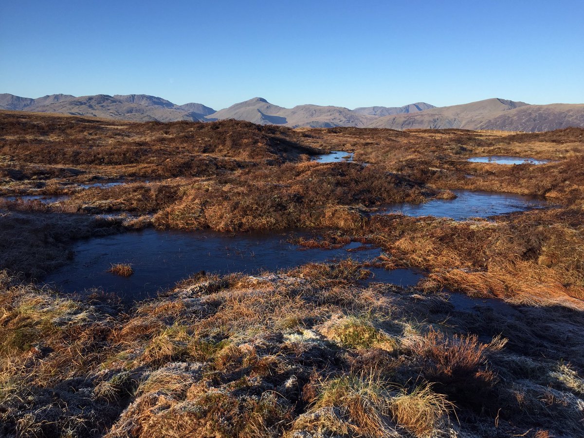 PeteBarron2's tweet photo. The @cumbriawildlife led peat restoration at Thirlmere is class and not even finished yet. New habitat created from a degraded landscape. More of the same please. https://t.co/d1VG2vIYtF