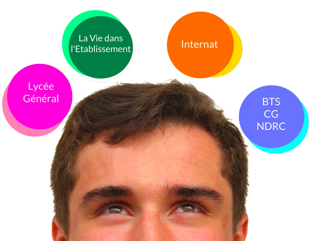 saintcaprais's tweet photo. =====================
PORTES OUVERTES VIRTUELLES
=====================
https://t.co/9Et1DluP19 https://t.co/opNErMnxLr