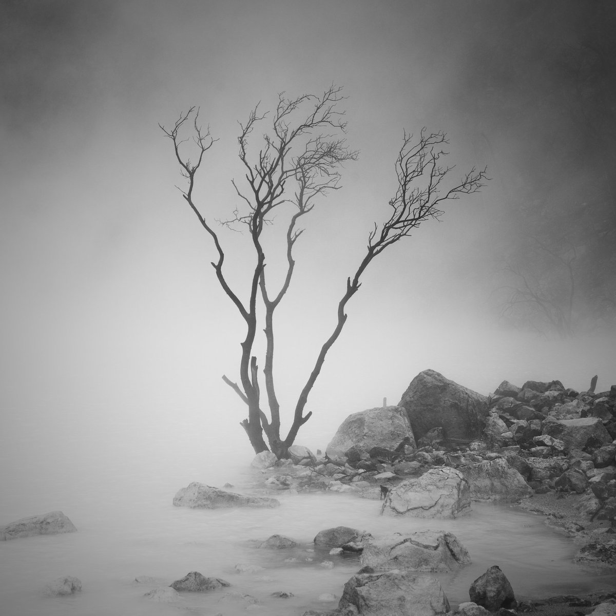 Daniel Tjongari tweet media