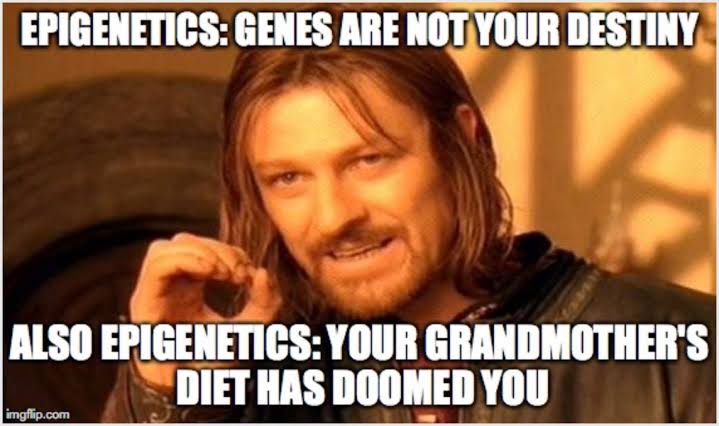 PranavAdithya10's tweet photo. Something very true and powerful!! #transgenerationalepigenetics #epigenetics https://t.co/9Lmyq4QSZ8
