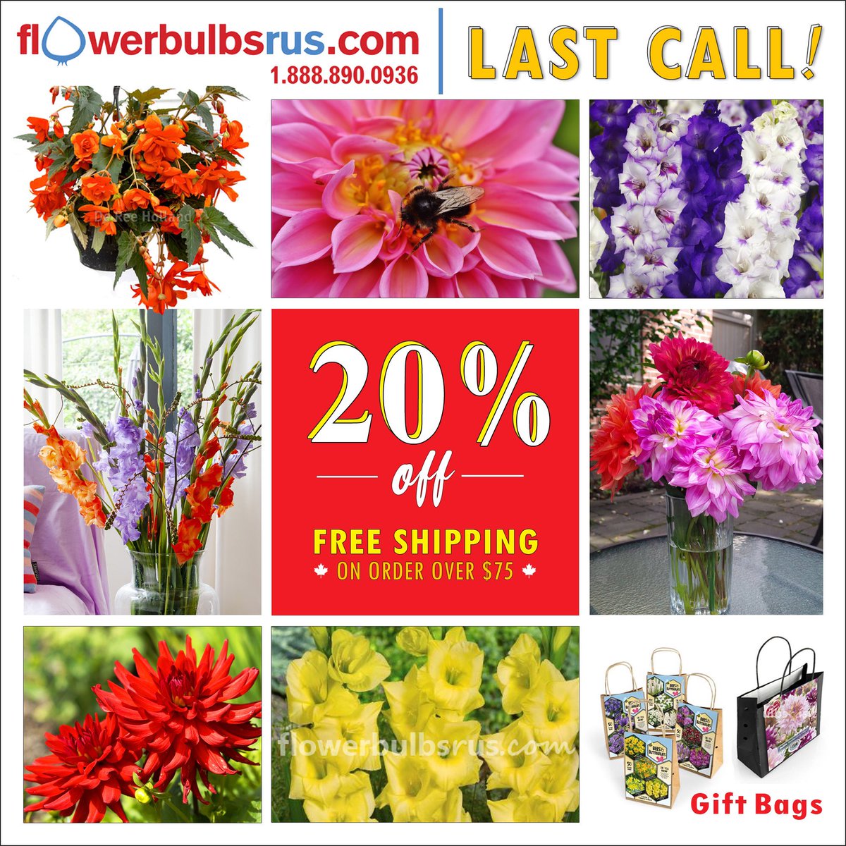 Happy Easter and long weekend!
20% Off Summer Flower Bulbs | Top Quality - Great Prices | FREE Shipping on orders $75 +Dahlias, Begonias, Gladiolus, Gift Bags, Gift Certificates and more! Shipping in Canada.
flowerbulbsrus.com
#flowers #sale #garden #dahlia #HappyEaster