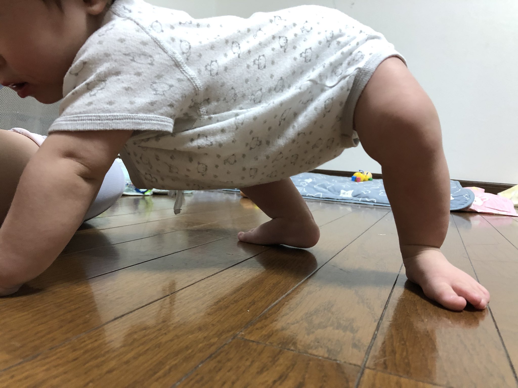 ぶた ゆい Yuika2722 Twitter