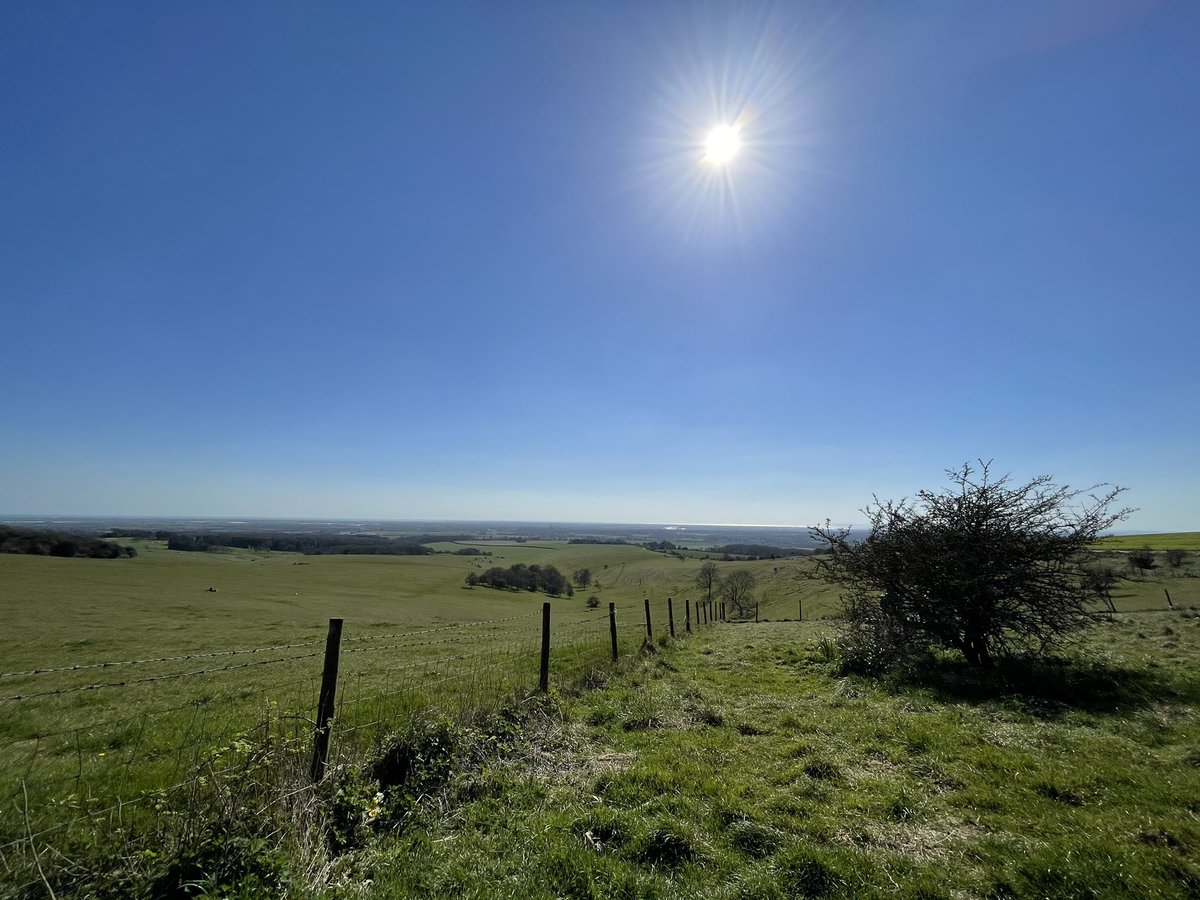 View from the trundle in Chichester, blue sky and sunshine