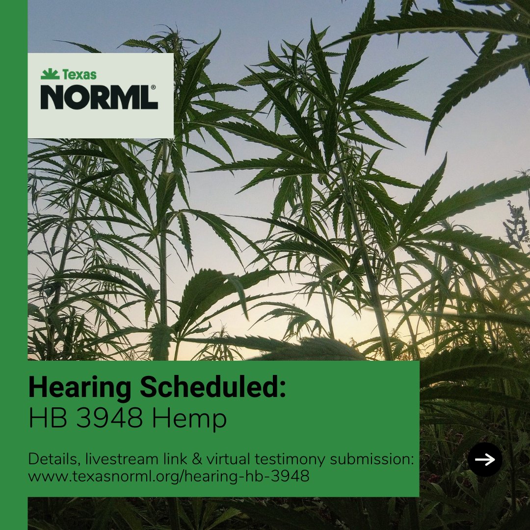 TexasNORML's tweet photo. 4/8/21: House Agriculture & Livestock Comm will meet on #HB3948 which would establish a hemp research program, address consumable #hemp products & cleans up some language in the statute. Submit written testimony & other details: https://t.co/lQC480zsfk
#TexasNORML #TXLege #NORML https://t.co/18Gaw0hZAT