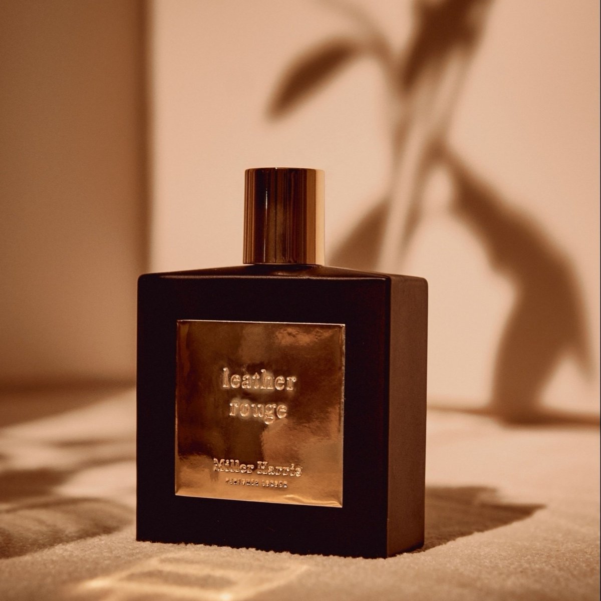Discover Leather Rouge. Seductive rose and leather mingle with the warmth of amber and saffron in this contrasted scent of hidden depths and unexpected twists.