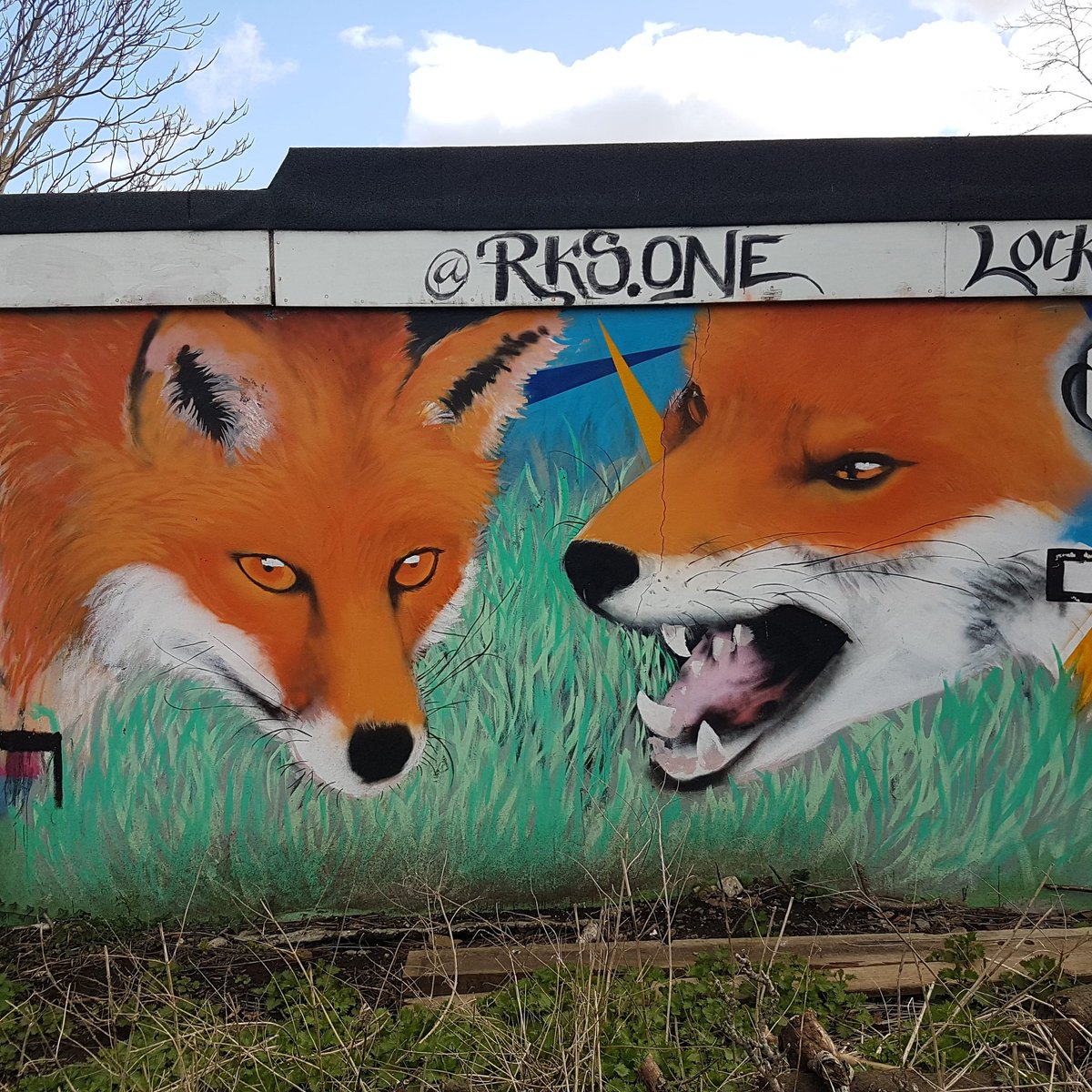 Urban foxes in Wood Green, north London by street artist rks.one #lovelondon #northlondon #woodgreen #nightingalegardens #rksone #walklondonseelondonfeellondon #thestreetisthebiggestfreeartgallery  #streetart #art #londontourguide #fox #urbanfoxes #foxyfriday