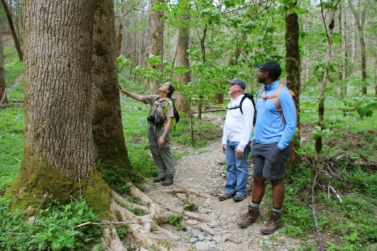 GreatSmokyNPS tweet picture