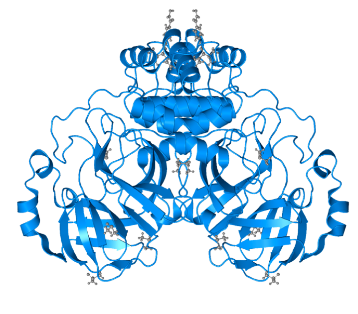 embl's tweet photo. EMBL Hamburg provided infrastructures crucial to the success of a large COVID-19 drug screening project. 

We collected structural data on 700+ crystals on our beamlines and biophysical data on the interaction between SARS-CoV-2 protease &amp; a drug library.

https://t.co/FFeJBaZvHS https://t.co/O29kFqRXfG