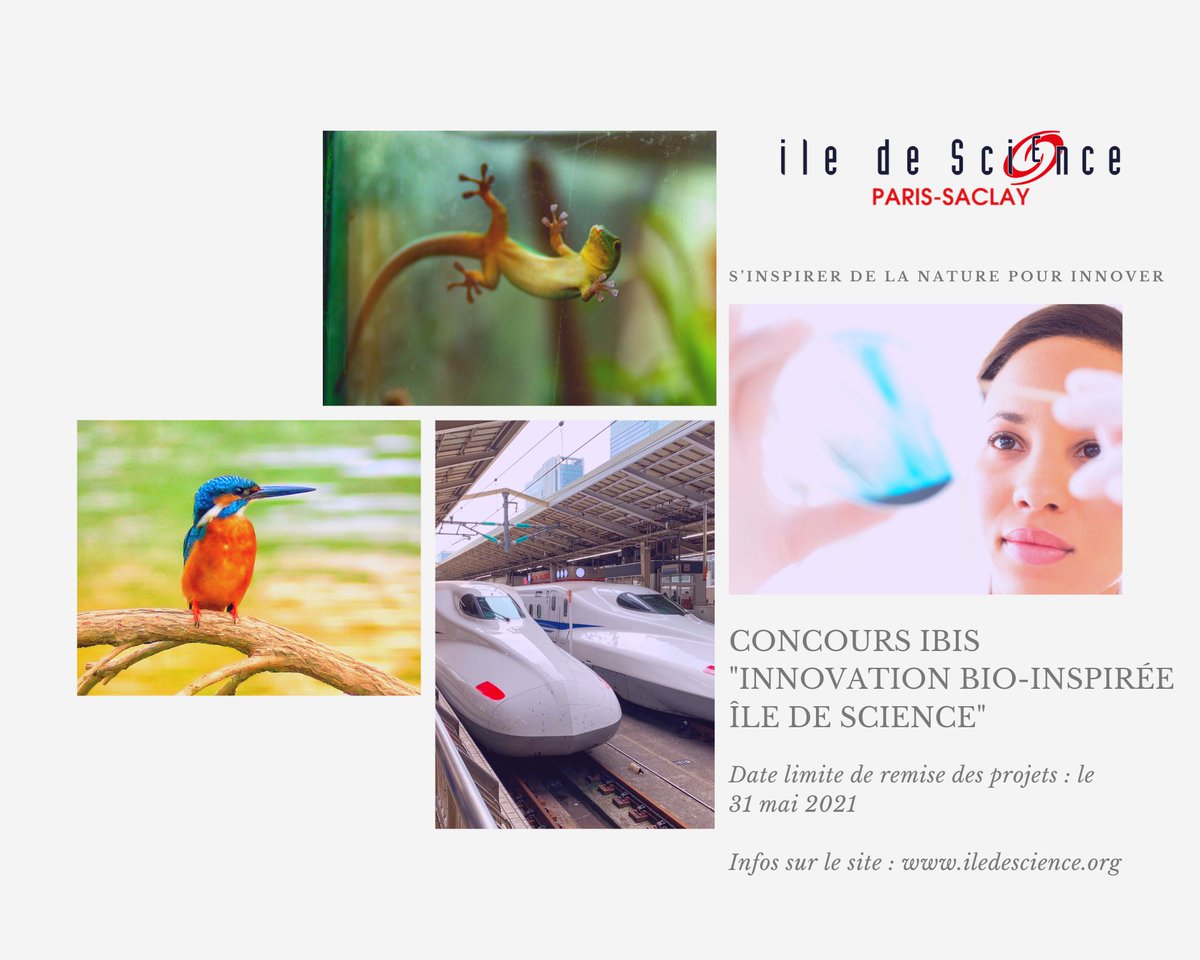 Ile_de_Science's tweet photo. Vous avez un projet innovant, tentez de gagner 3 000, 2 000 ou 1 000 euros en participant au Concours IBIS :  https://t.co/FjP26TDb7n

#plateausaclay #ceebios    #biomimetics #biomimetic #biomimicry #StartinSaclay #biomimicrydesign https://t.co/nV2B8De1vr