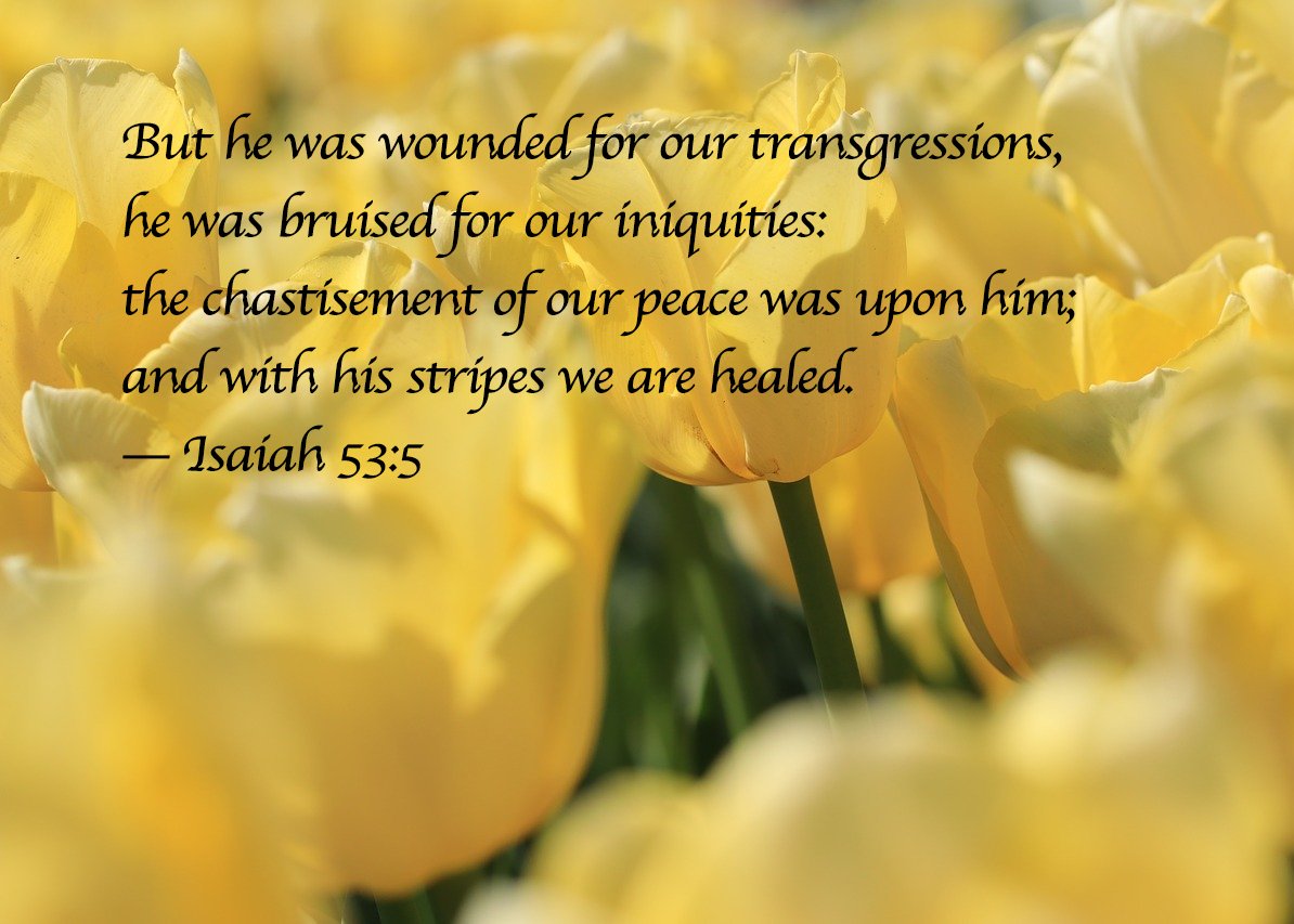 PayLessCT's tweet photo. Our office will close at 3pm today in observance of Good Friday. Wishing you God's peace and blessings this Easter and Passover season. https://t.co/1FgtSAL2Hw
