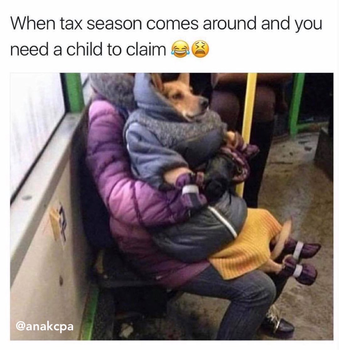 taxbossana's tweet photo. Who thinks we should be able to claim our pets as “dependents” 🙋🏻♀️🤣
#TaLkToYourCPA #TheTaxGame #IfYoureNotPlayingYoureLosing #Taxes #TaxFiling #TaxReturn #TaxLiability #TaxStrategy #FinancialFreedom #REI #RealEstateInvesting #TaxPreparer #SmallBusiness #HispanicWealth https://t.co/bgXwj0z9rz