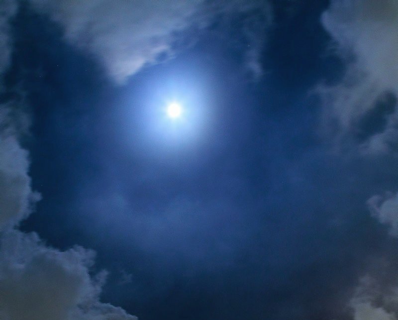 fol_tuna's tweet photo. .

蒼の彼方には
朧衣を纏いて游ぐ 天月

闇夜を彩り
馨りたつ 夢見の桜が
儚くも 燦然と舞い上がり

泡沫の刻を 肴に
呑まずとも
蒼い夜に 酔いしれて…

#詩 #夜桜 #ﾎﾛﾖｲﾅｲﾄ https://t.co/cfR6MaOz3X