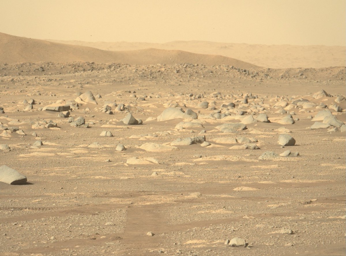spacex360's tweet photo. NASA’s Perseverance rover’s latest images of the surface of Mars. One day humans will step foot on this surface. https://t.co/hU8dKM3Sqq