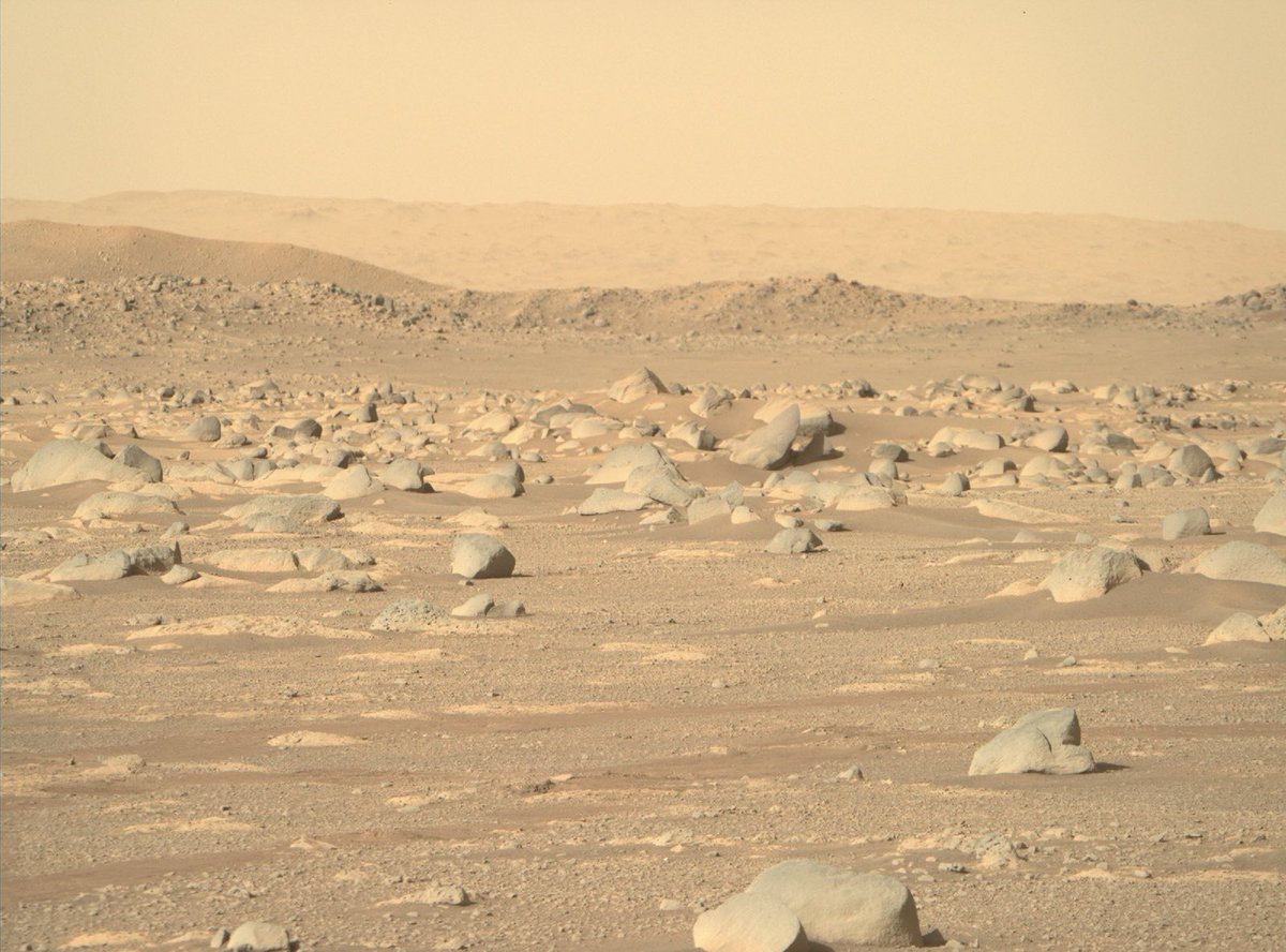 spacex360's tweet photo. NASA’s Perseverance rover’s latest images of the surface of Mars. One day humans will step foot on this surface. https://t.co/hU8dKM3Sqq