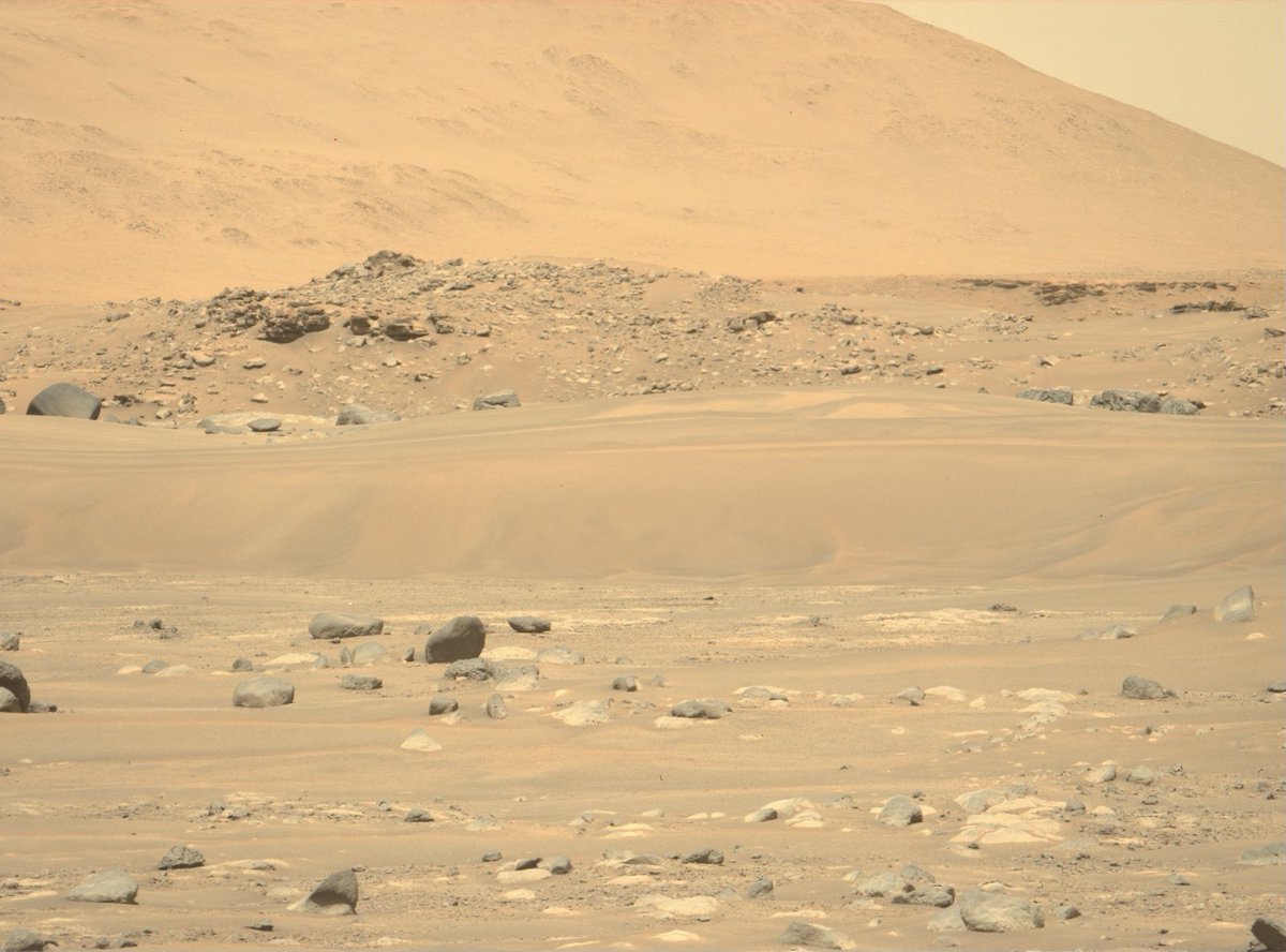 spacex360's tweet photo. NASA’s Perseverance rover’s latest images of the surface of Mars. One day humans will step foot on this surface. https://t.co/hU8dKM3Sqq