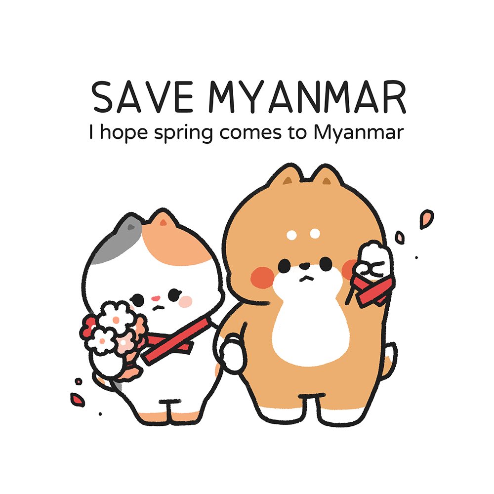 Save myanmar