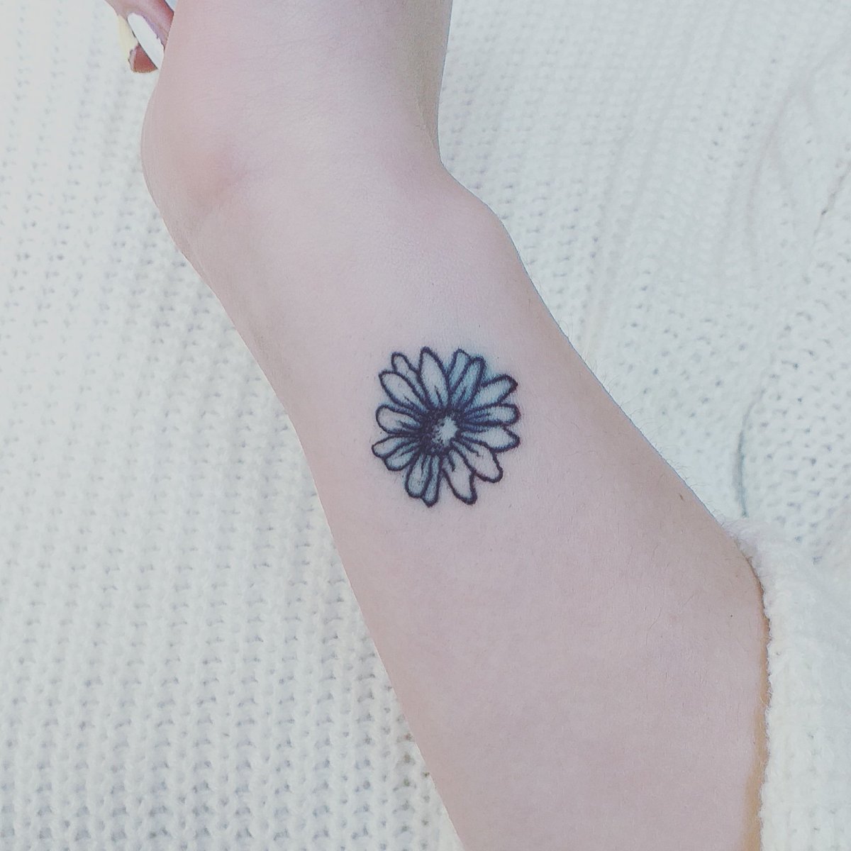 TheCatsTats's tweet photo. Promised this little Daisy before end of March, healing well after just a couple of days.
#tattoo #tattoos #tattooideas #tattooartist #tattooedgirls #tattoofeminina #tattoosleeve #tattooist #inkart #inking #inkdrawing #inkart #inkingart #inked #inkrush #inkonskytattoo #inkrush https://t.co/WYtvSNAVfi