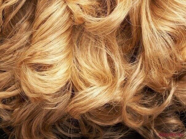 МАСКА ДЛЯ РОСТА ВОЛОС С ГОРЧИЦЕЙ. Посоветовала подруга после применения. Помогает!

Очень легкие в приготовлении и не бьющие по кошельку — маски для роста волос с горчицей или обычным горчичным порошком.
charovnica-i-prokaznica.com/maska-dlya-ros…