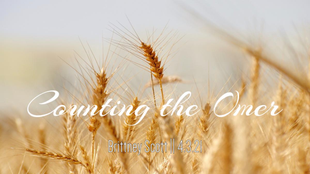 man_chaim's tweet image. Shabbat: Plagues of the Greater Exodus Pt. 8 livingmanna.net conta.cc/3sN0ADB